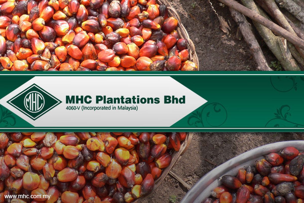 MHC Plantations declares 10 sen special dividend for FY2026